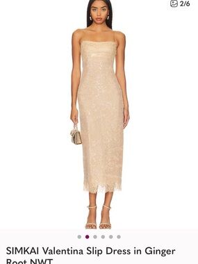 Jonathan Simkhai Ginger Root Sequin Slip Midi Dress